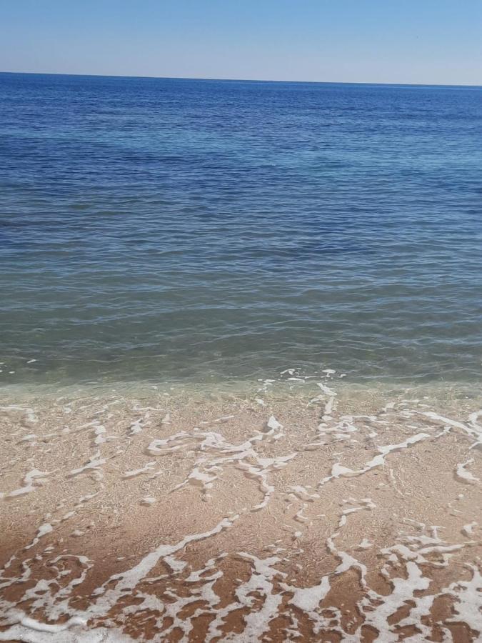 Студия На Белоснежном Пляже Los Locos Torrevieja Buitenkant foto